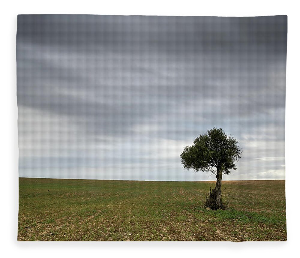 Olive Tree Fleece Blanket featuring the photograph Lonely Olive tree with moving clouds by Michalakis Ppalis