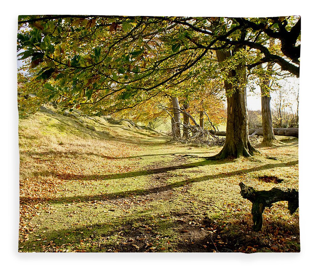 Scotland Fleece Blanket featuring the photograph Long shadows of the afternoon by Elena Perelman