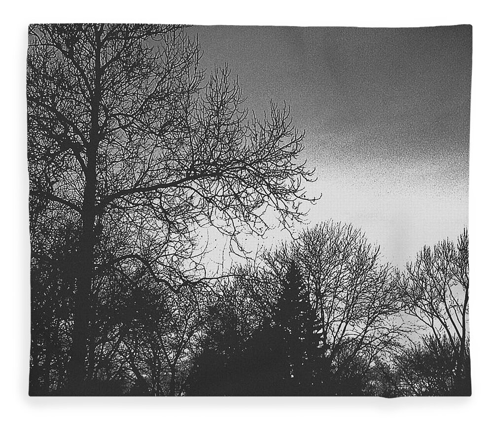 Frank J Casella Fleece Blanket featuring the photograph Long Winter by Frank J Casella