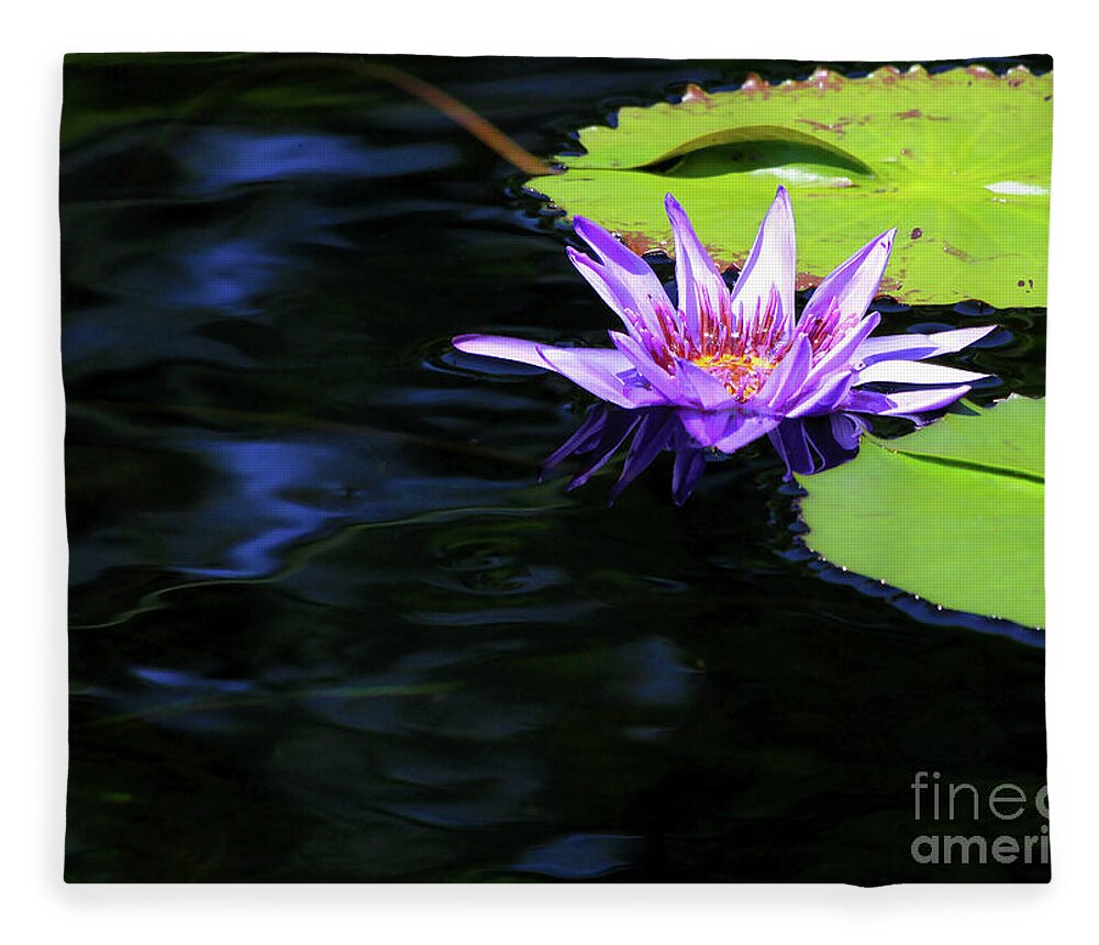 Lotus Fleece Blanket featuring the photograph Lotus and Dark Water Refection by Paula Guttilla