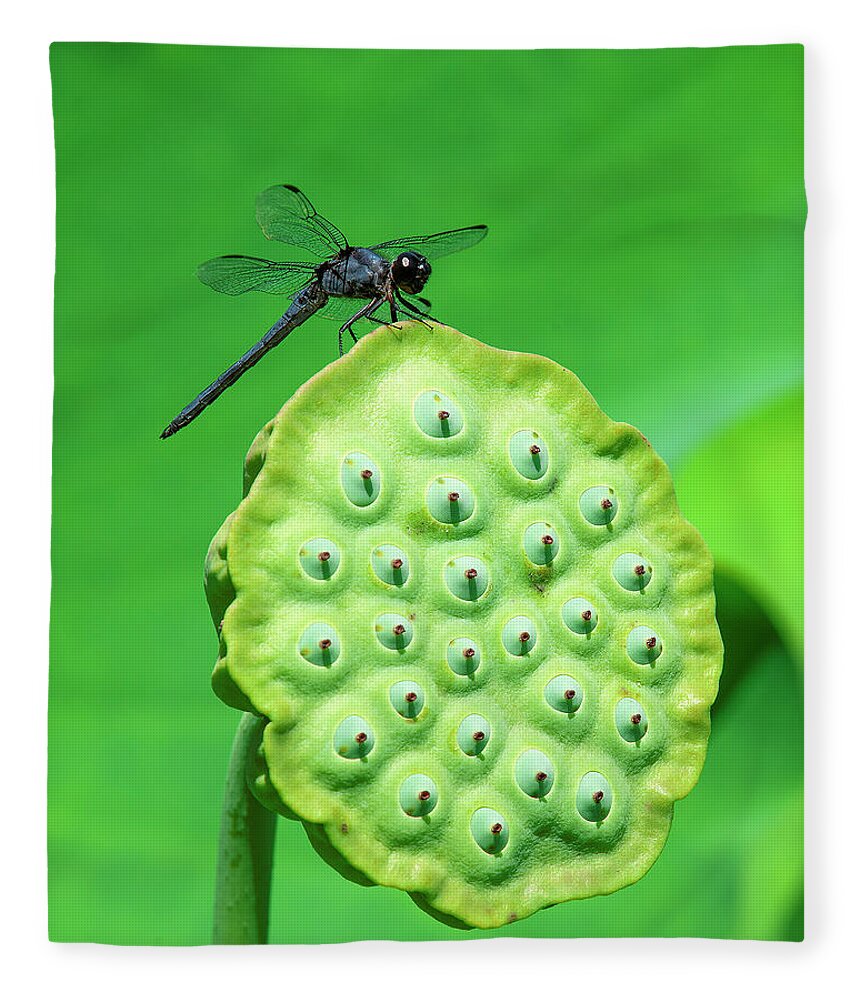 Lotus Fleece Blanket featuring the photograph Lotus Capsule and Slaty Skimmer Dragonfly DL0106 by Gerry Gantt