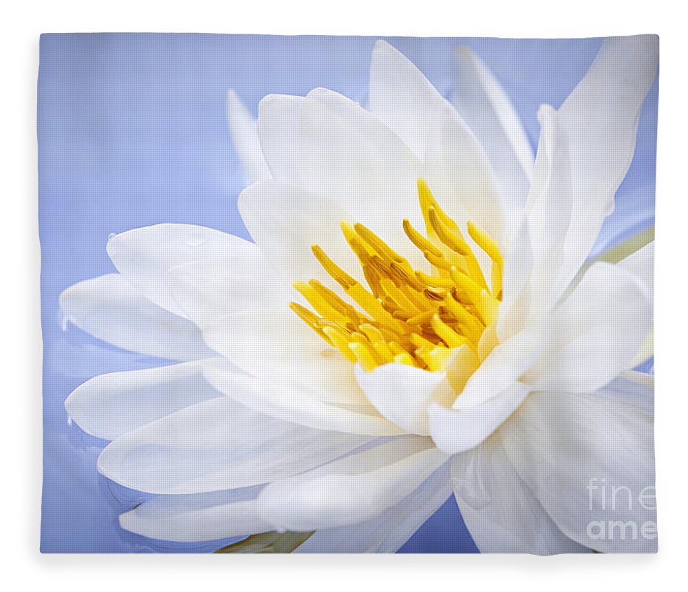 Lotus Fleece Blanket featuring the photograph Lotus flower 2 by Elena Elisseeva