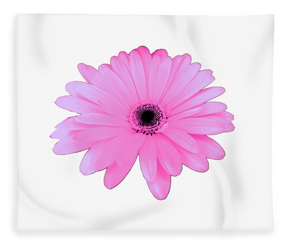 Digital Art Fleece Blanket featuring the digital art Lovely Pink Daisy Flower Gift by Delynn Addams by Delynn Addams