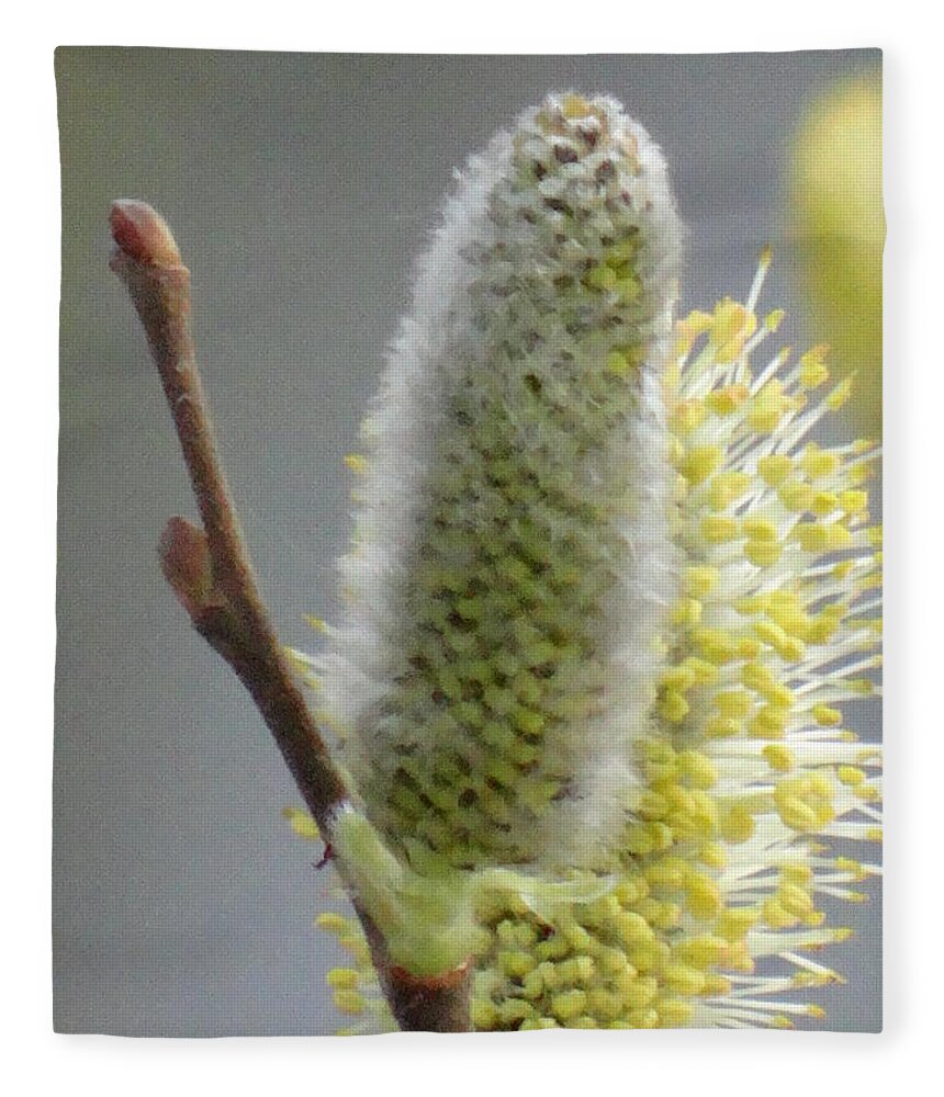 Spring Fleece Blanket featuring the photograph Lovely spring by Karin Ravasio