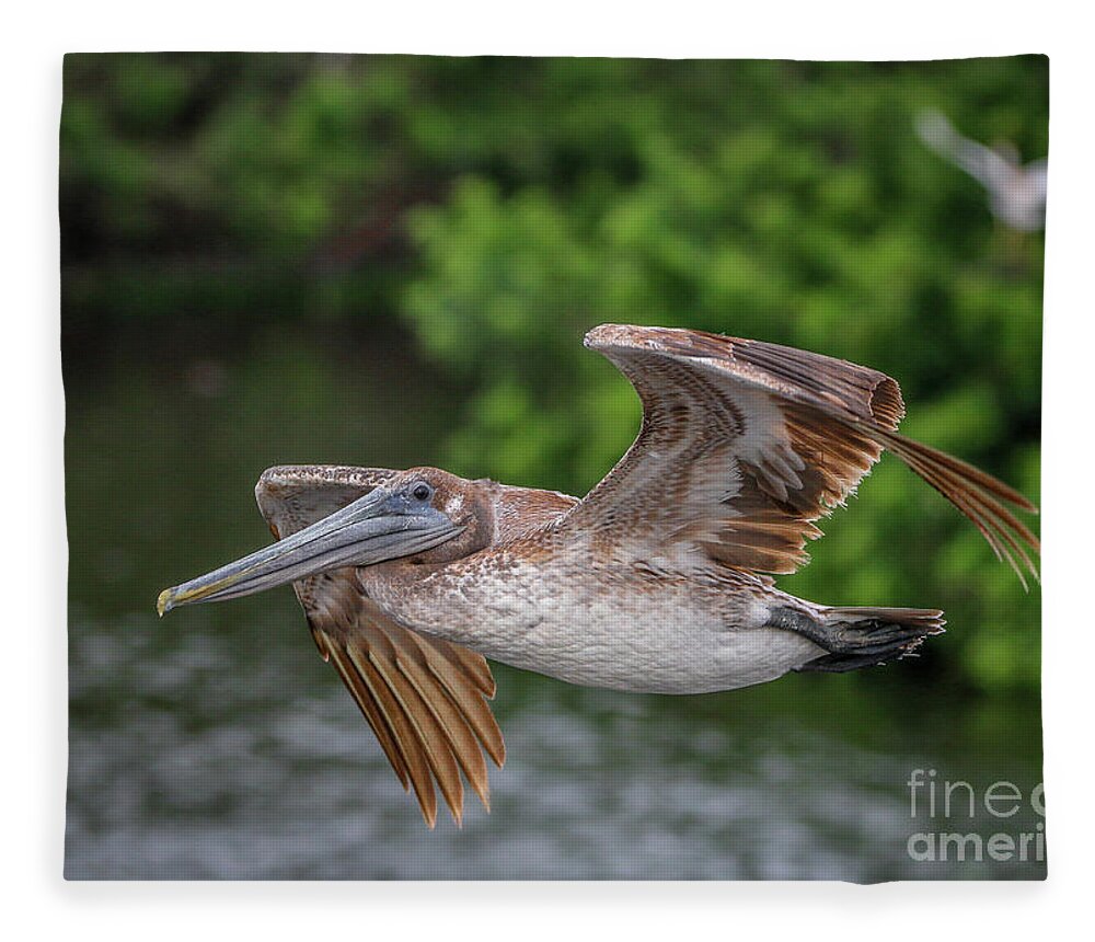 Pelican Fleece Blanket featuring the photograph Low Pass Pelican #1 by Tom Claud