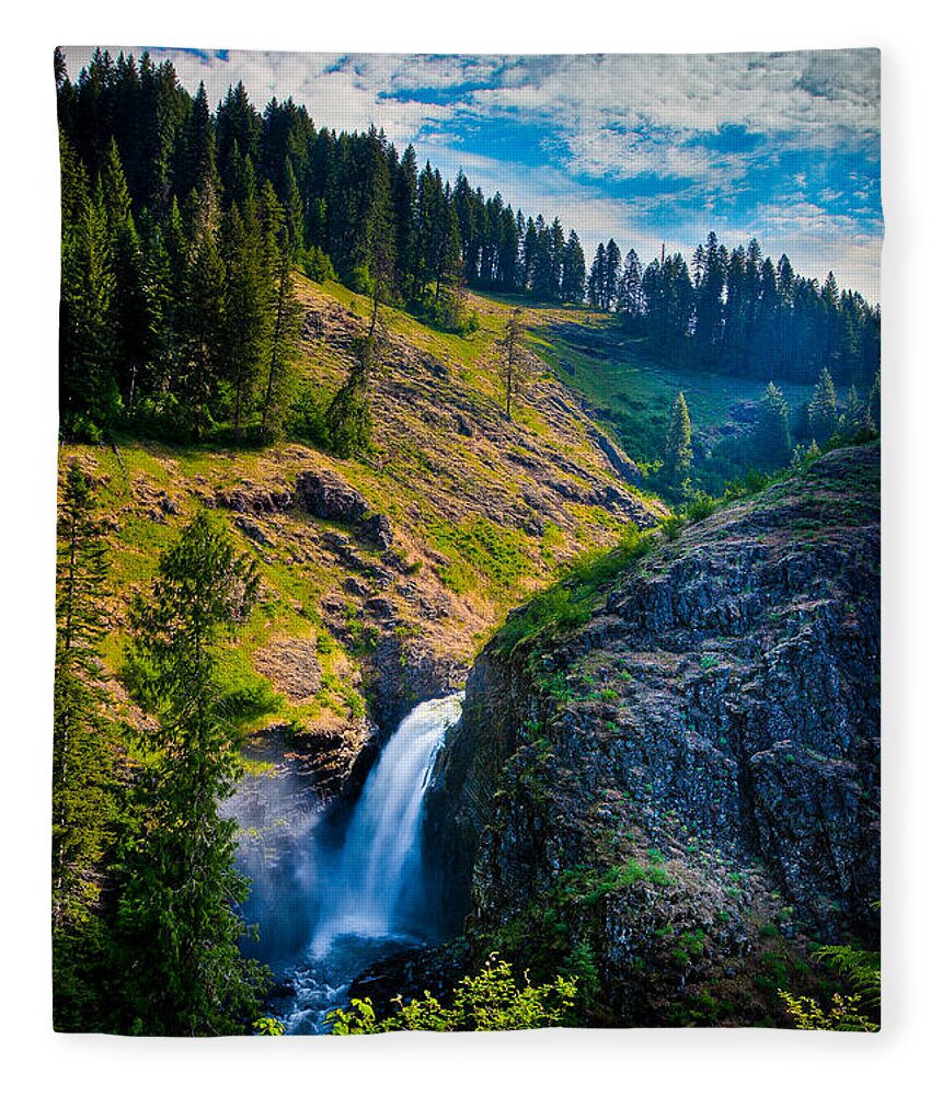  Fleece Blanket featuring the photograph Lower Falls - Elk Creek Falls by Rikk Flohr