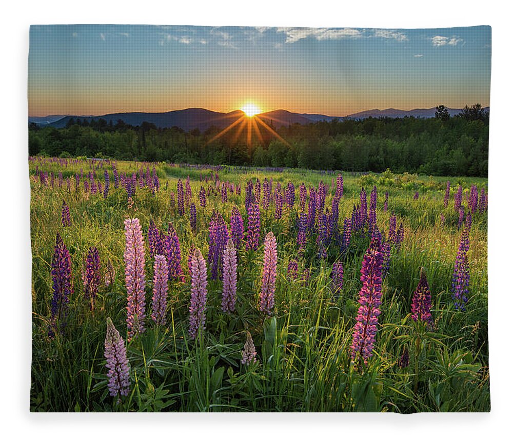 Lupine Fleece Blanket featuring the photograph Lupine Sunrise by White Mountain Images