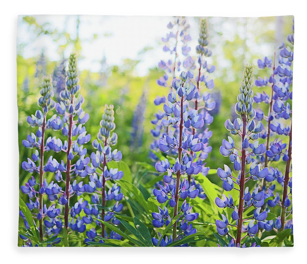 Lupines Fleece Blanket featuring the photograph Lupines by Holly Ross