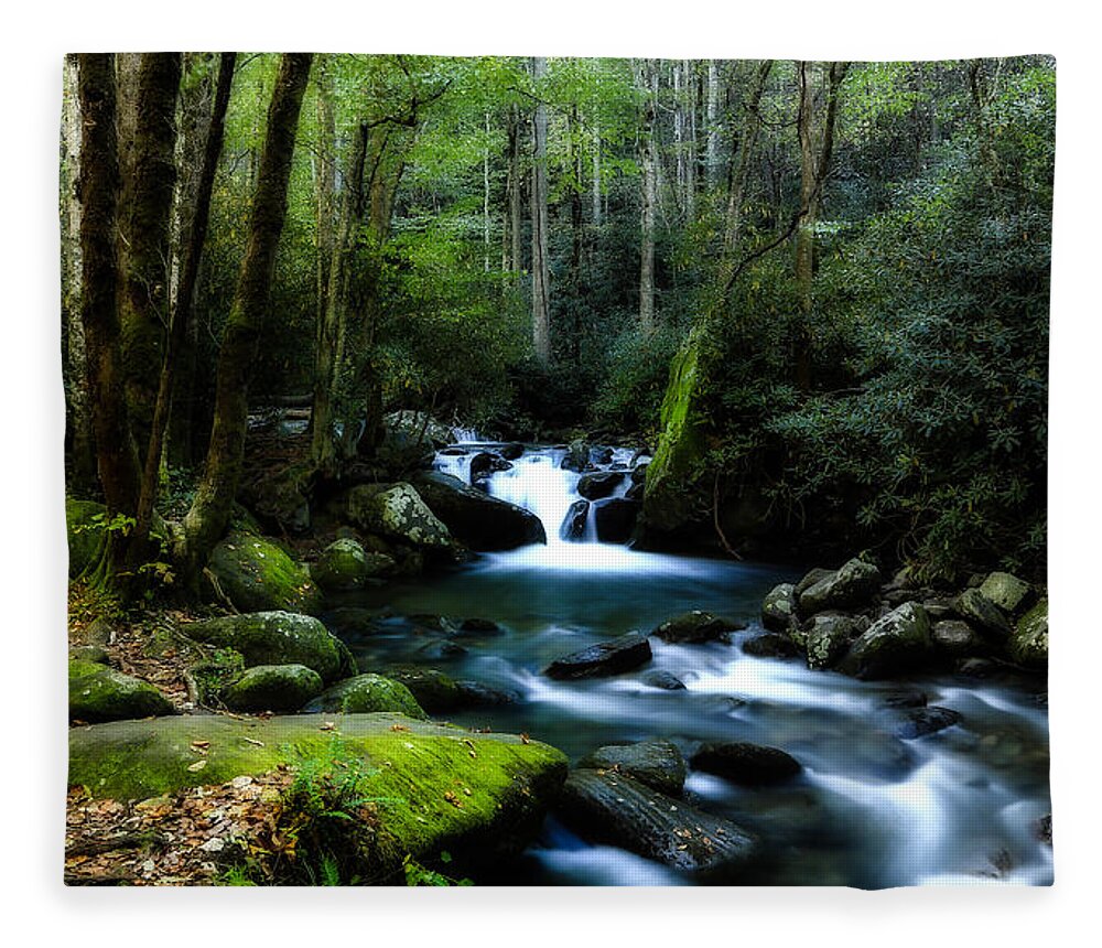 Stream Fleece Blanket featuring the photograph Lush Forest by C Renee Martin