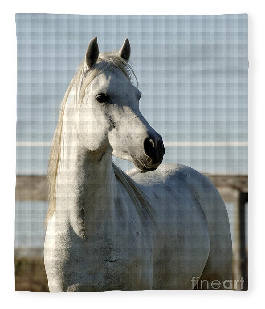 Magic Fleece Blanket featuring the photograph Magic #3 by Carien Schippers