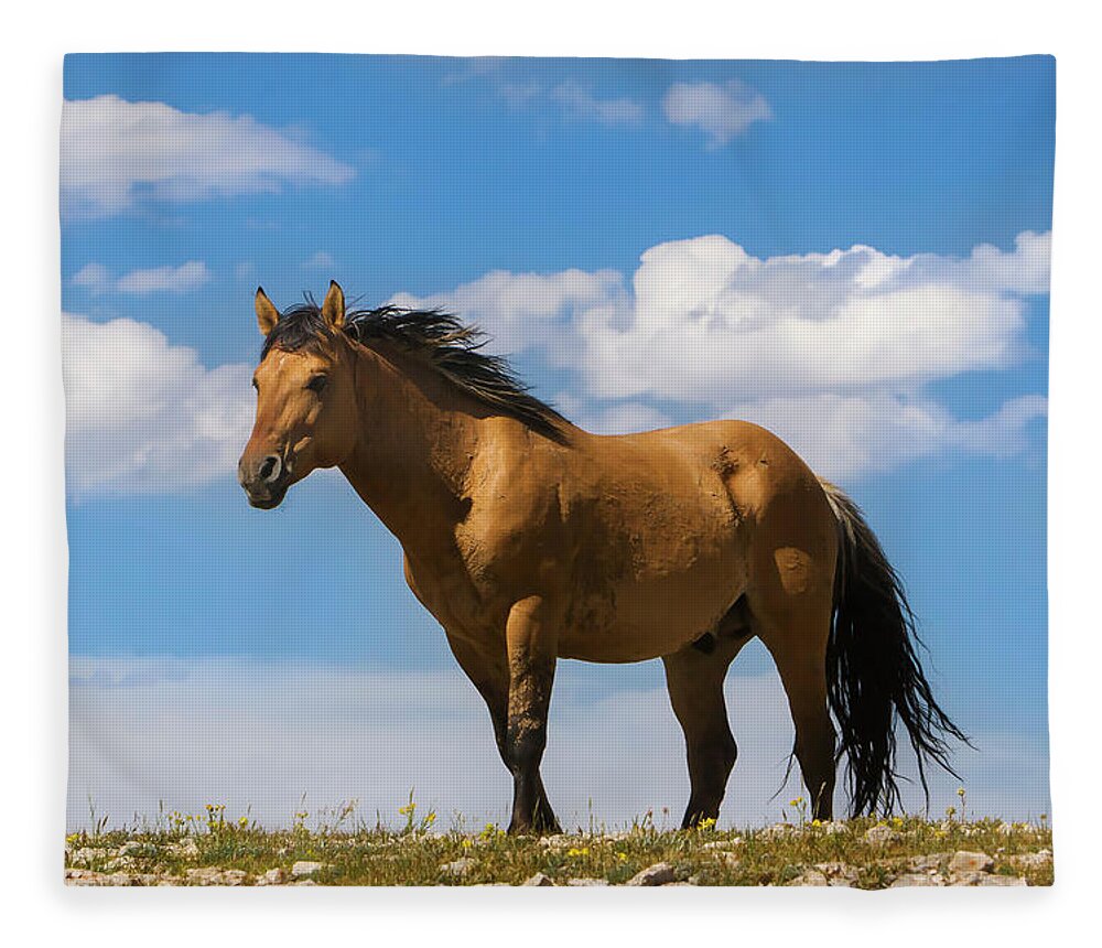 Mark Miller Photos Fleece Blanket featuring the photograph Magnificent Wild Horse by Mark Miller