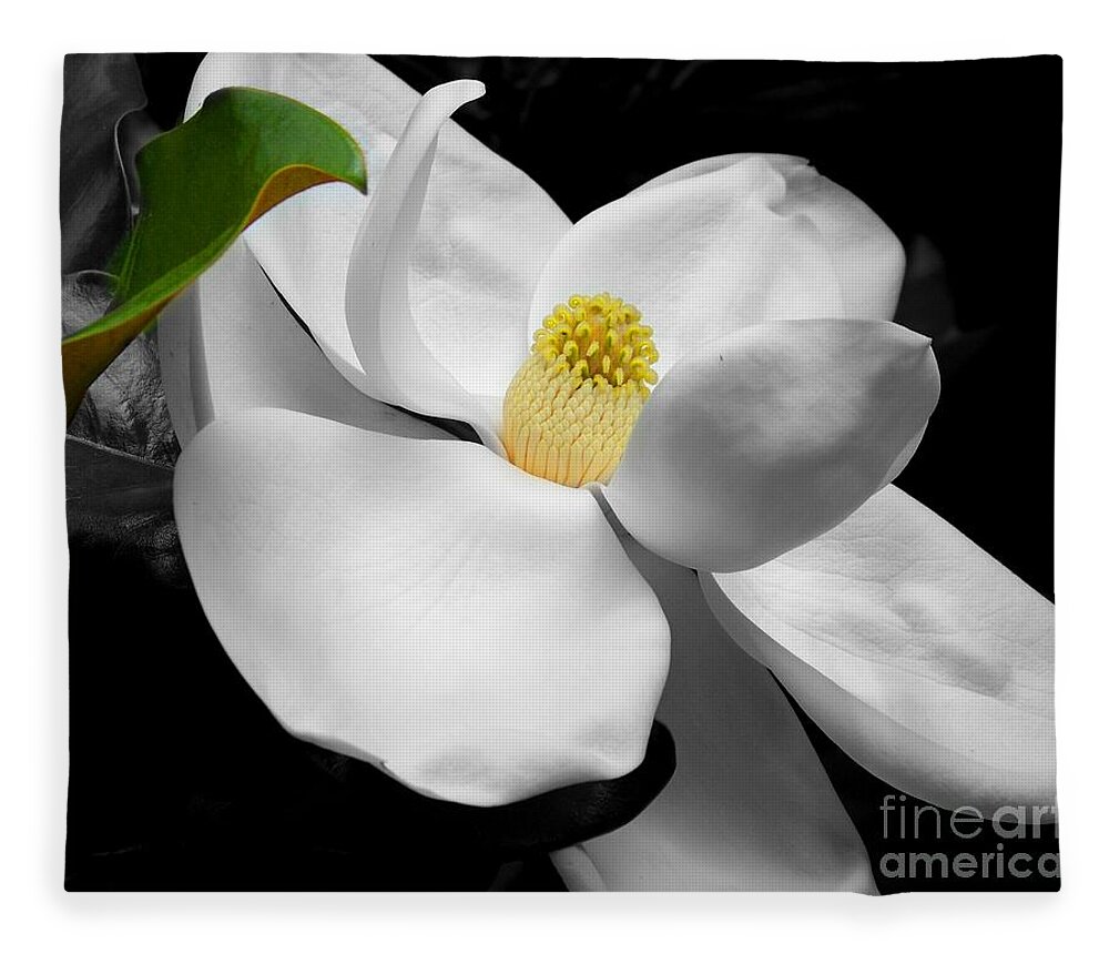 Magnolia Fleece Blanket featuring the photograph Magnolia Blossom by Jai Johnson