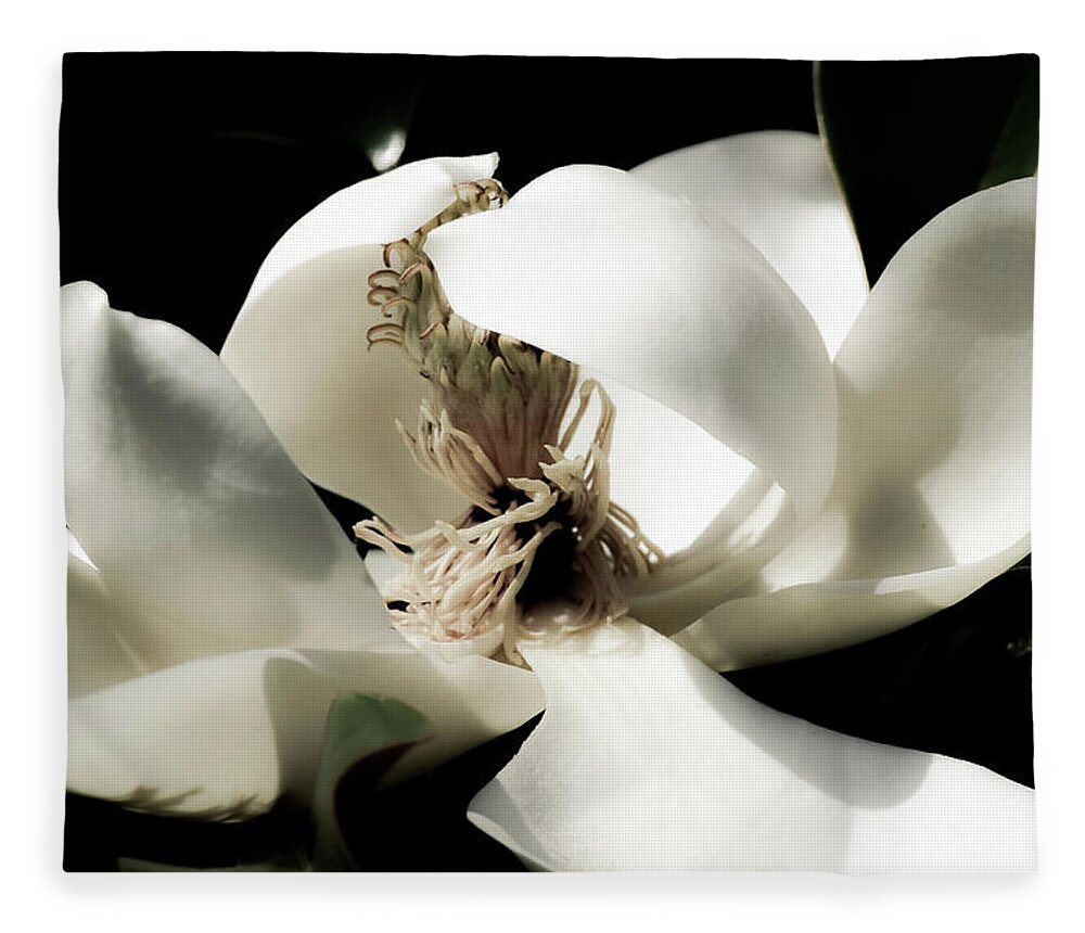 Blooming Fleece Blanket featuring the photograph Magnolia Drama by Deborah Crew-Johnson