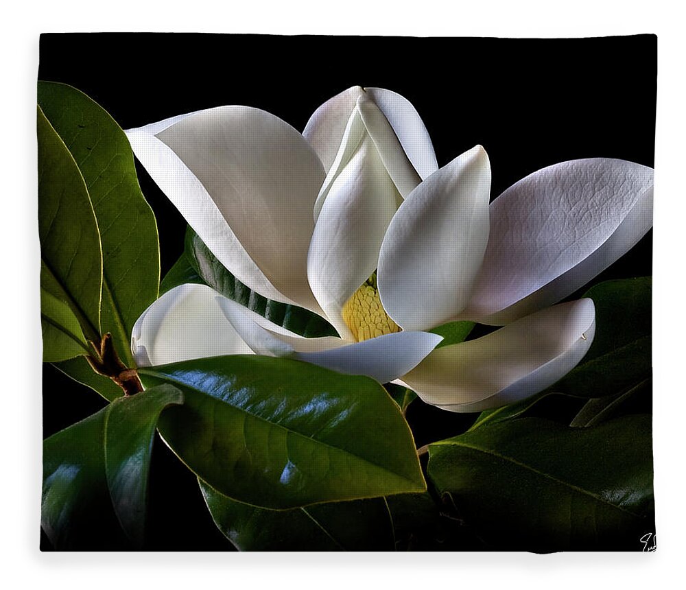 Flower Fleece Blanket featuring the photograph Magnolia by Endre Balogh