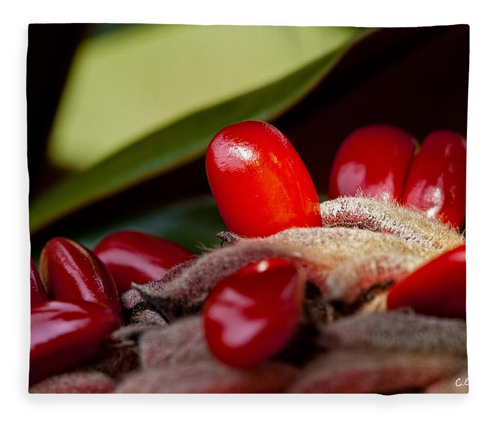 Seed Fleece Blanket featuring the photograph Magnolia Seeds by Christopher Holmes