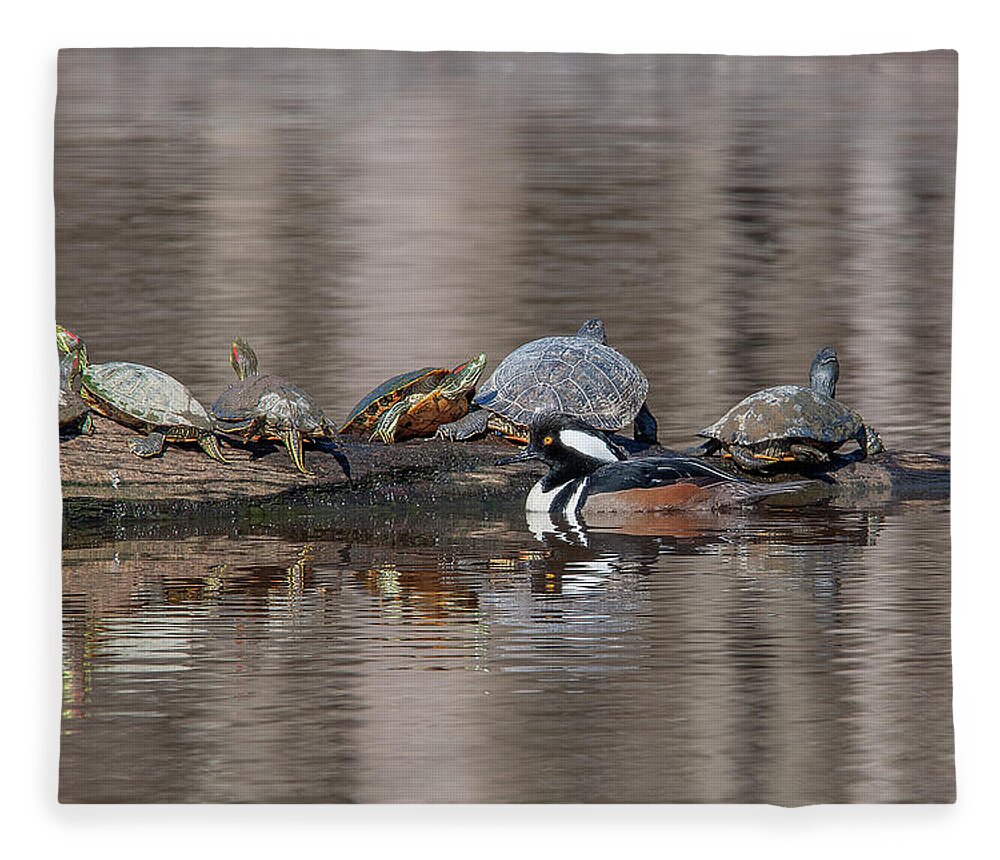 Nature Fleece Blanket featuring the photograph Male Hooded Merganser and Basking Red-eared Sliders DWF0163 by Gerry Gantt