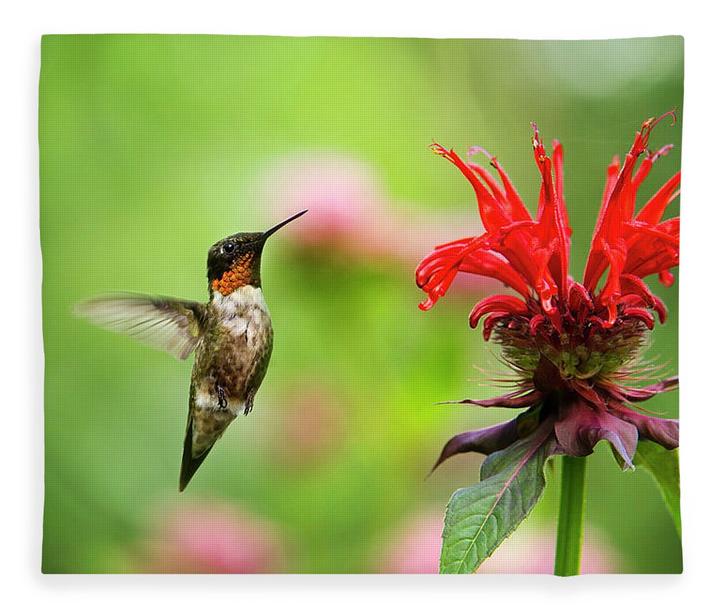 Hummingbird Fleece Blanket featuring the photograph Male Ruby-Throated Hummingbird Hovering Near Flowers by Christina Rollo