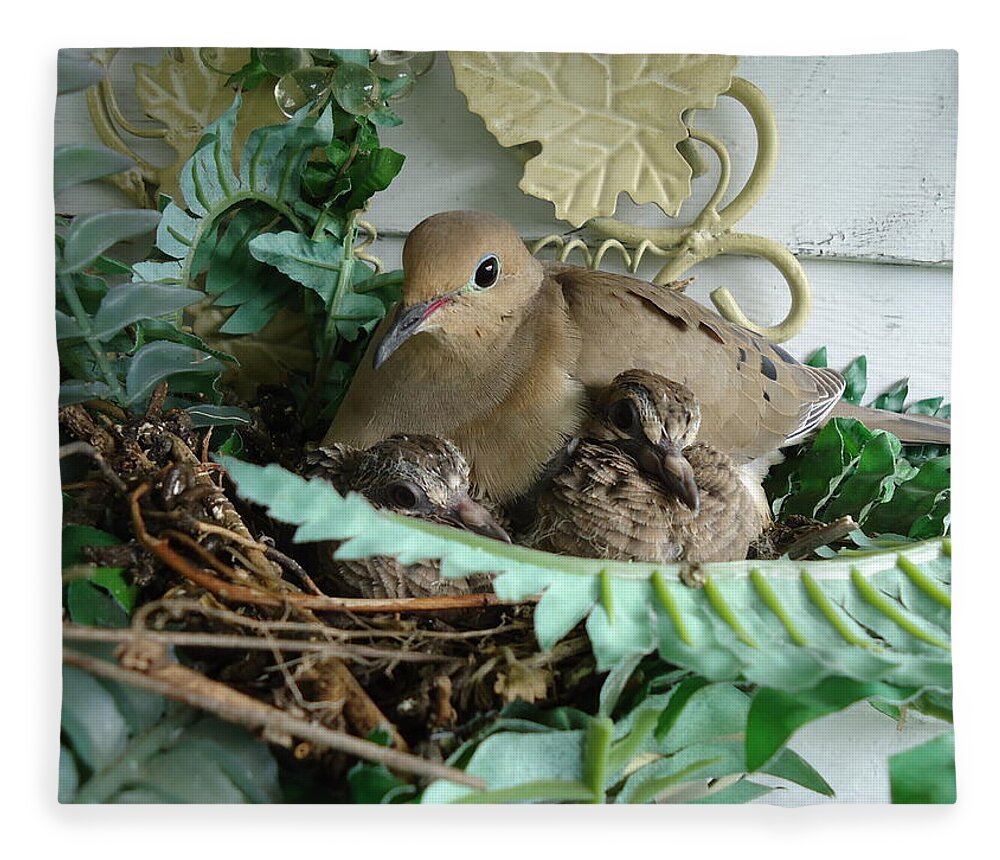 Birds Fleece Blanket featuring the photograph Mama Morning Dove by Leslie Manley