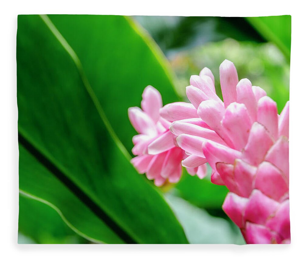Flowers Fleece Blanket featuring the photograph Many Pink Petals by Daniel Murphy