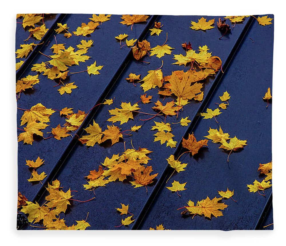 Landscape Fleece Blanket featuring the photograph Maple Leaves on a Metal Roof by Joe Shrader