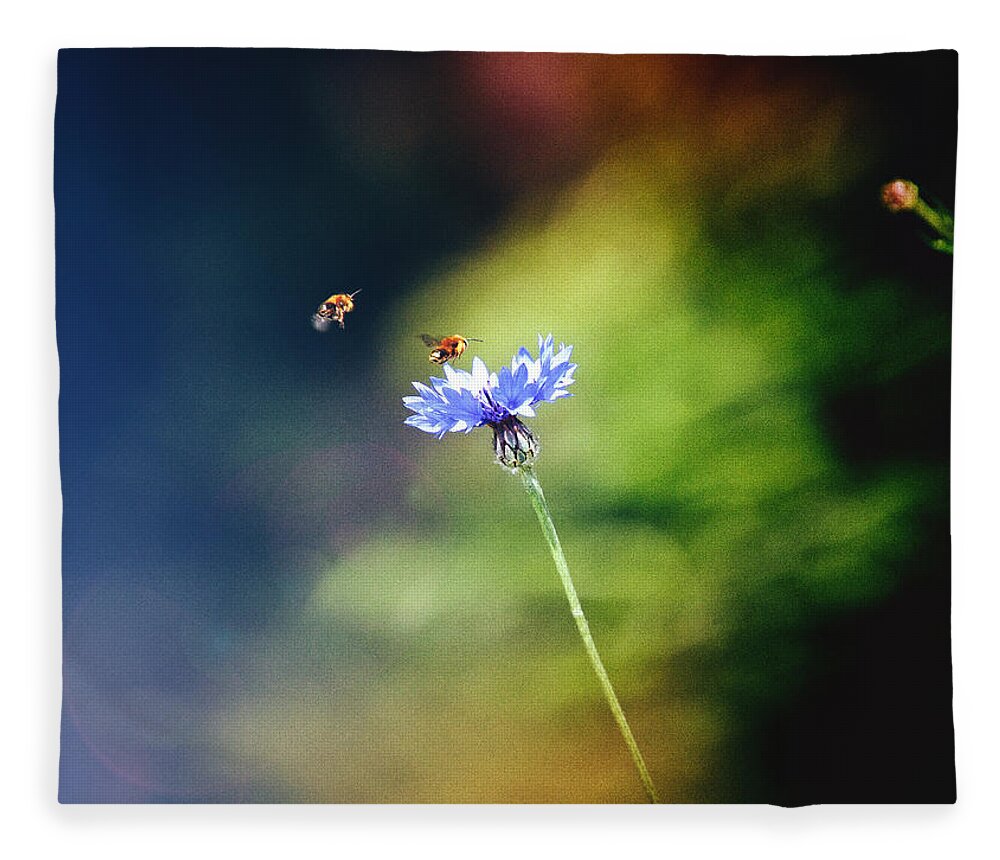 Common Cornflower Fleece Blanket featuring the photograph Life in the meadow by Jaroslav Buna