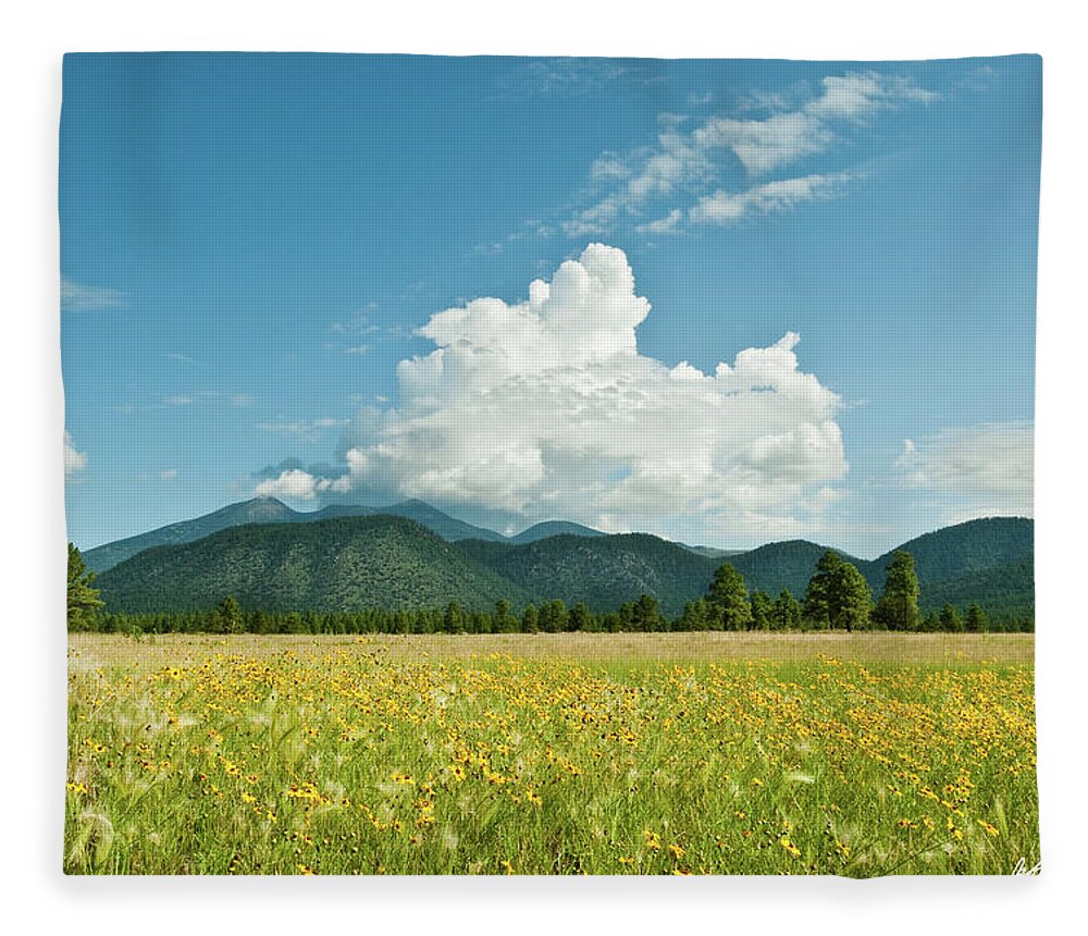 Arizona Fleece Blanket featuring the photograph Meadow of Sunflowers and the San Francisco Peaks by Jeff Goulden