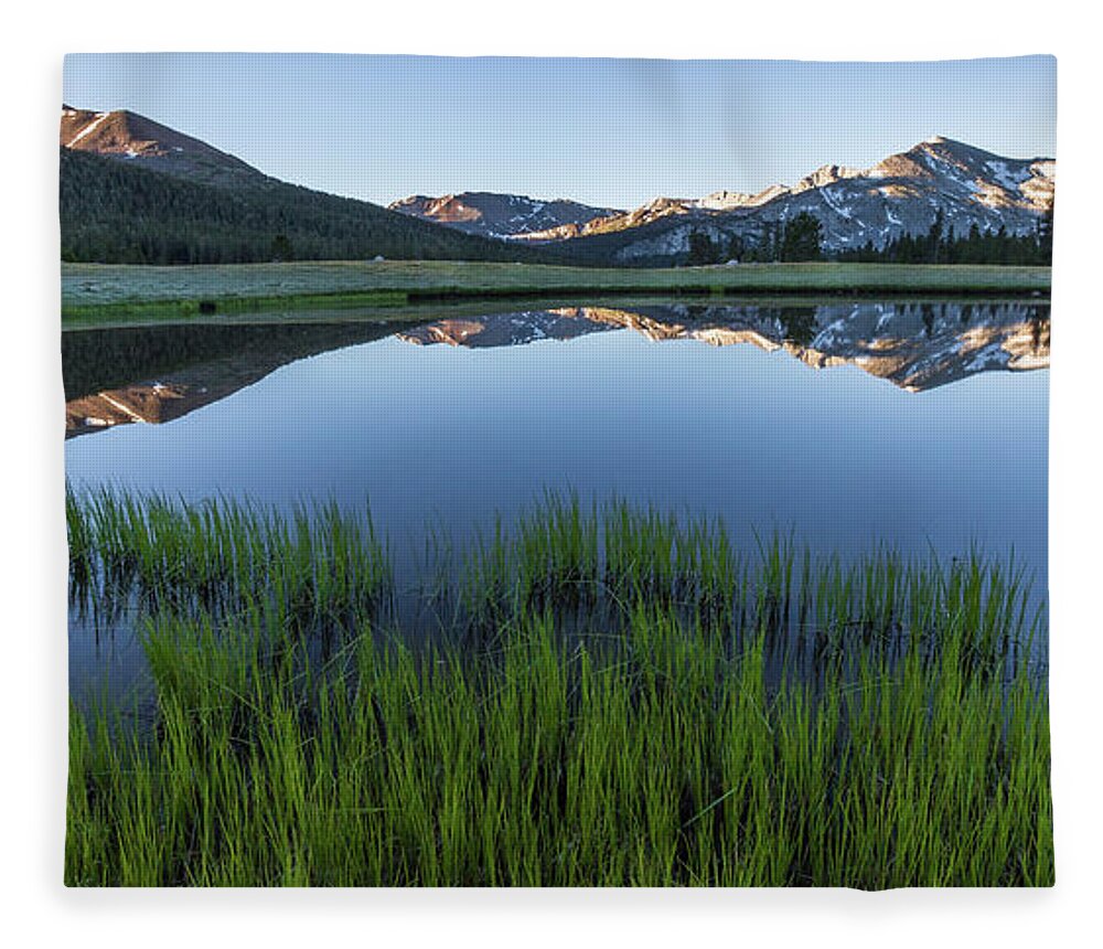 Grass Fleece Blanket featuring the photograph Meadow Reflections by Brandon Bonafede