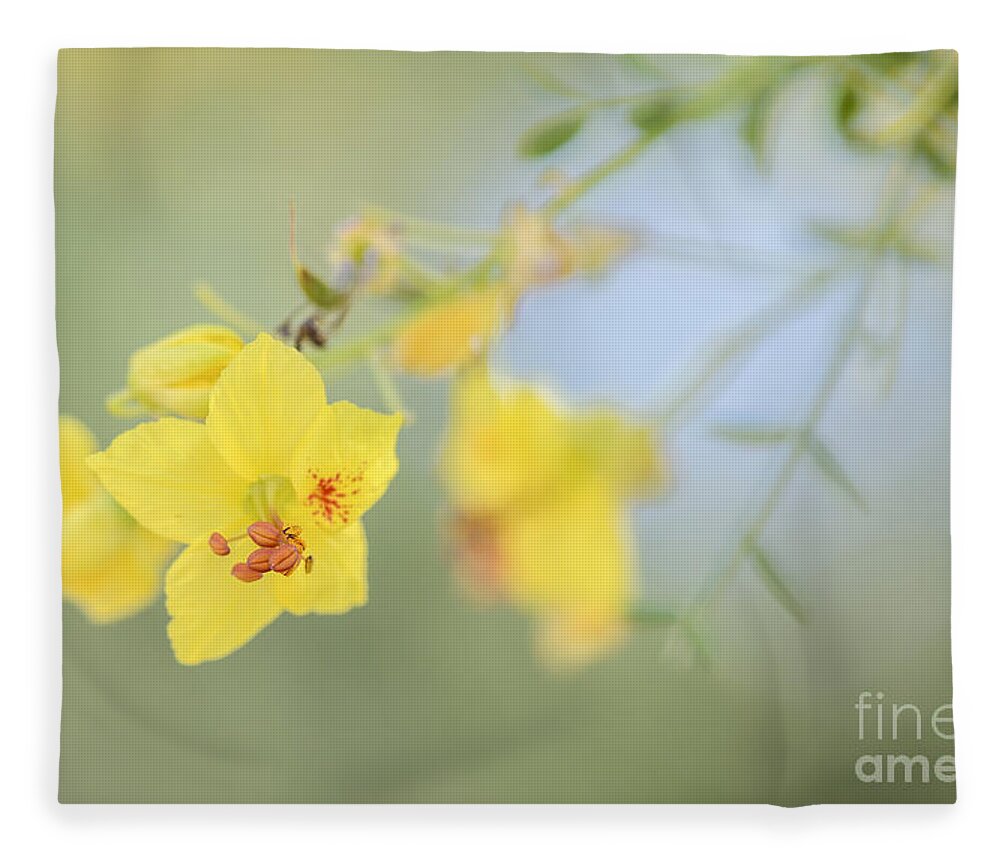 Palo Verde Fleece Blanket featuring the photograph Mellow Yellow by Tamara Becker