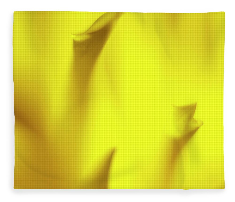 Flower Fleece Blanket featuring the photograph Mellow Yellow by Tony Locke