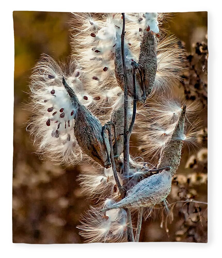 Milkweed Fleece Blanket featuring the photograph Milkweed by Steve Harrington