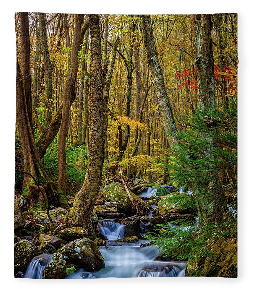 Landscape Fleece Blanket featuring the photograph Mill Creek in Fall #1 by Joe Shrader