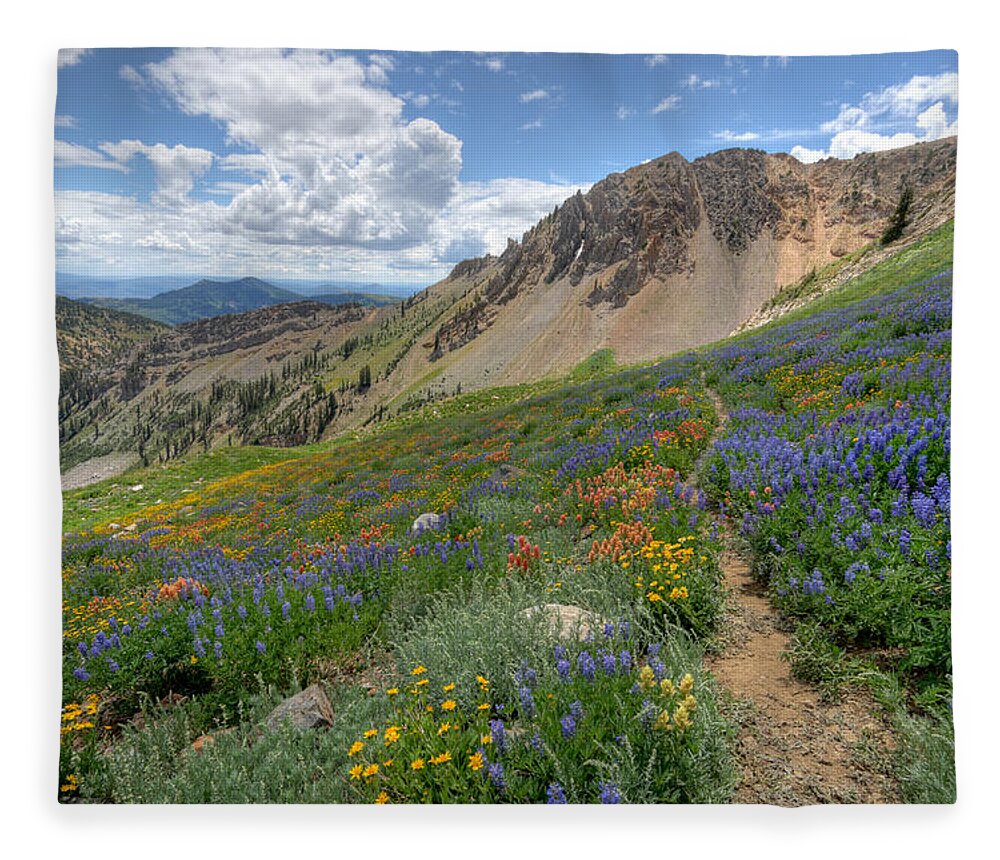Wildflower Fleece Blanket featuring the photograph Mineral Basin Wildflowers by Brett Pelletier