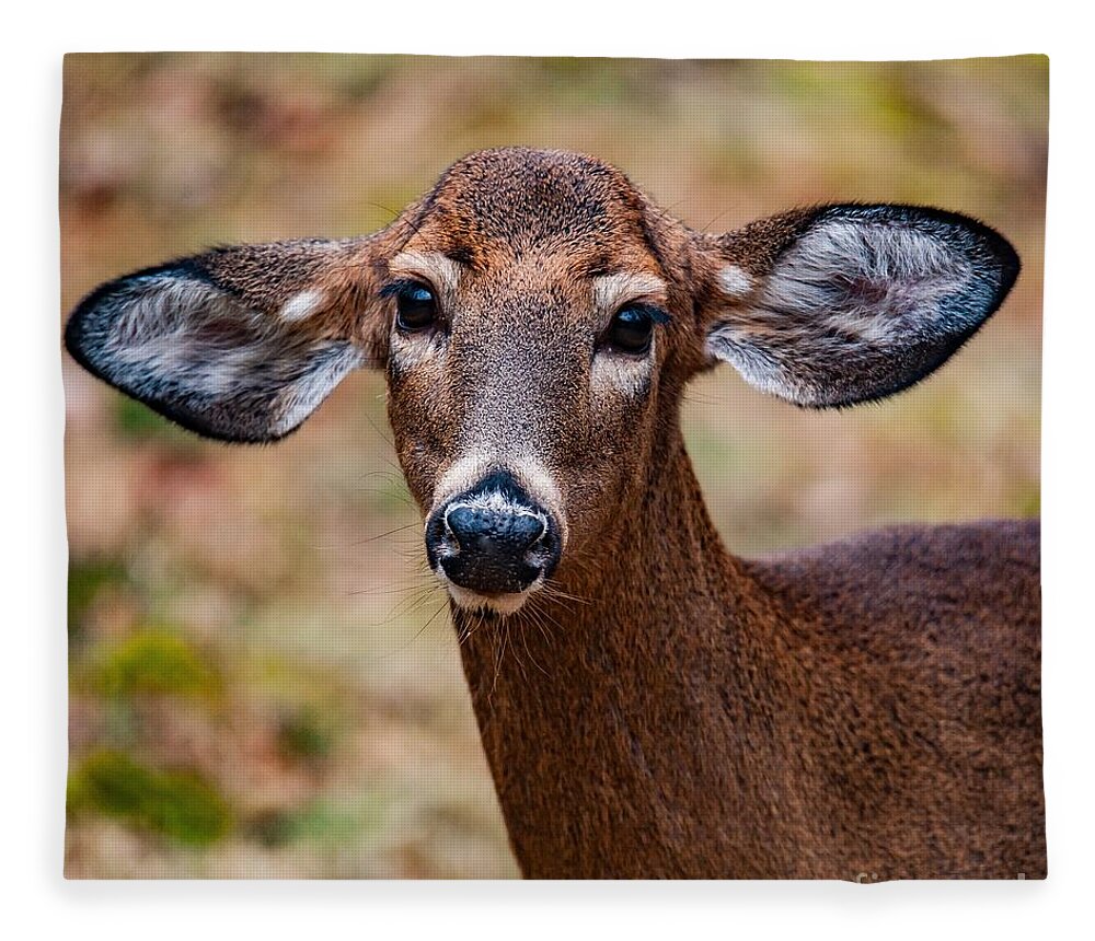 Deer Fleece Blanket featuring the photograph Miss Deer 1 by Buddy Morrison
