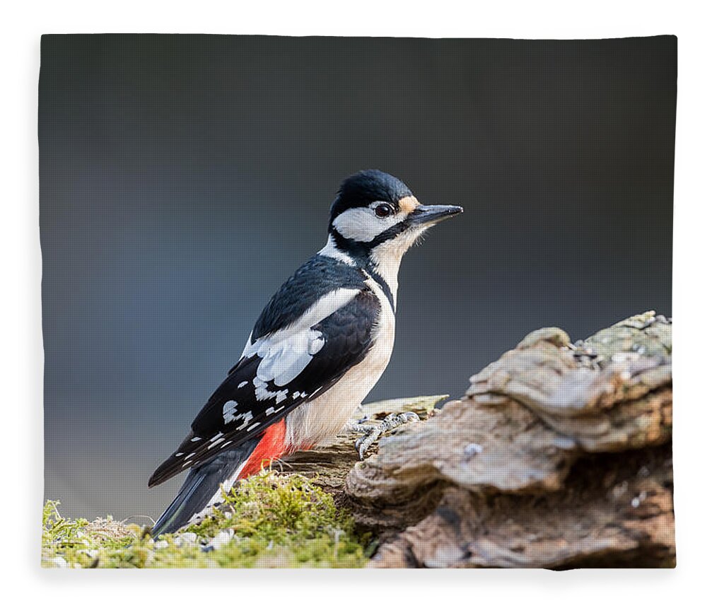Miss Woodpecker Fleece Blanket featuring the photograph Miss Woodpecker by Torbjorn Swenelius