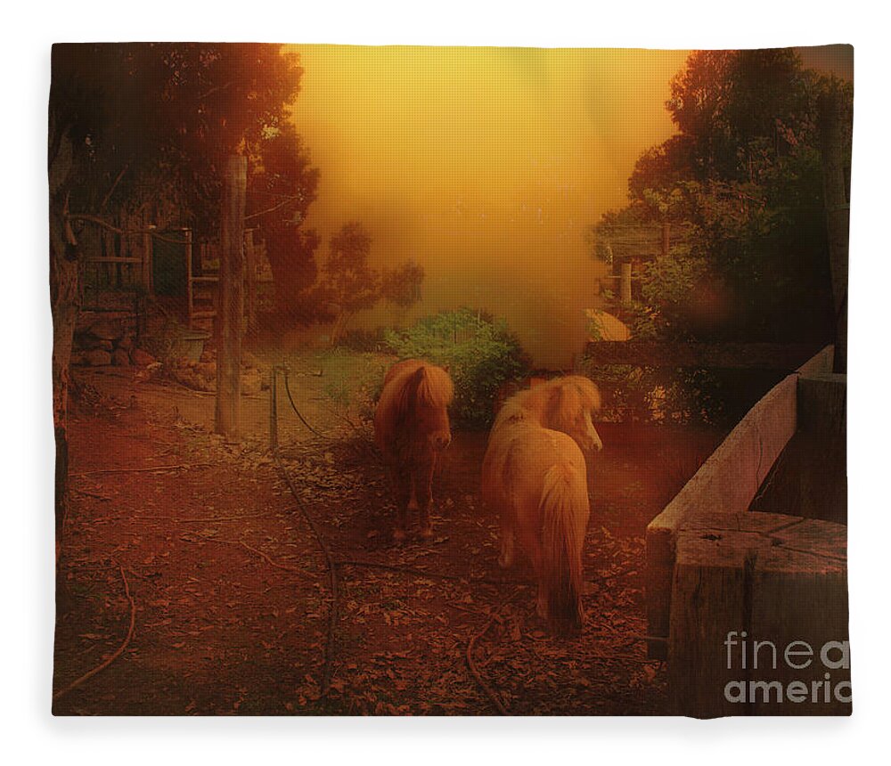 Animals Fleece Blanket featuring the photograph Misty Sundown by Elaine Teague