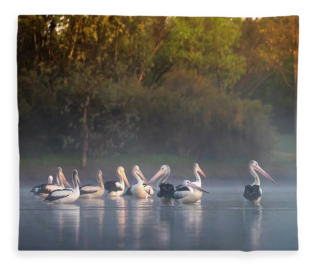 Pelicans Fleece Blanket featuring the photograph Misty Sunrise by Diana Andersen