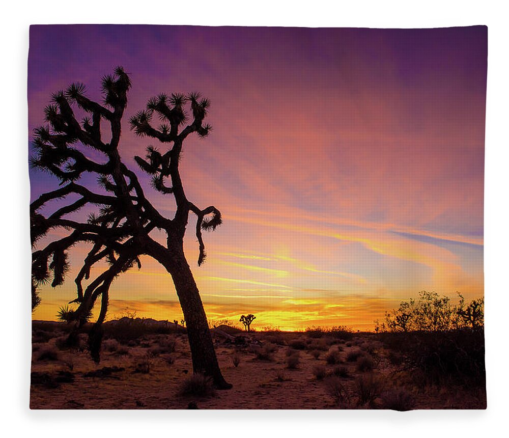 Joshua Tree Fleece Blanket featuring the photograph Mojave Desert Sunset by Aileen Savage