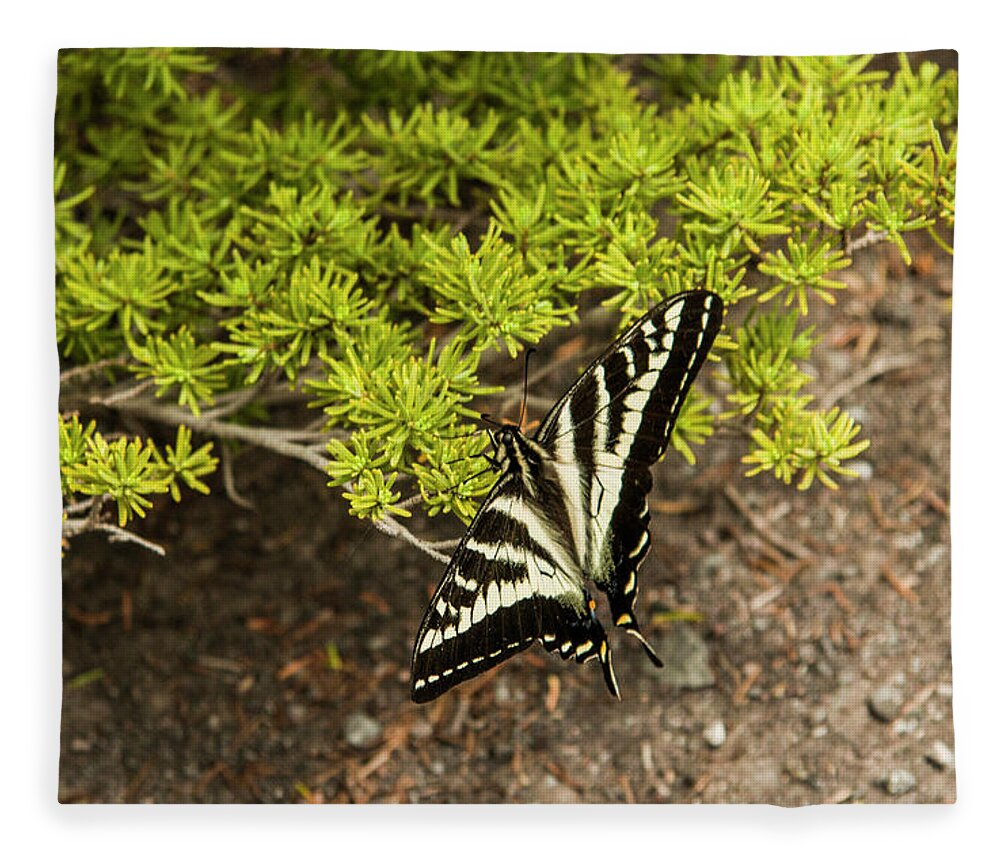 Butterfly Fleece Blanket featuring the photograph Momentary Rest Stop by Doug Scrima