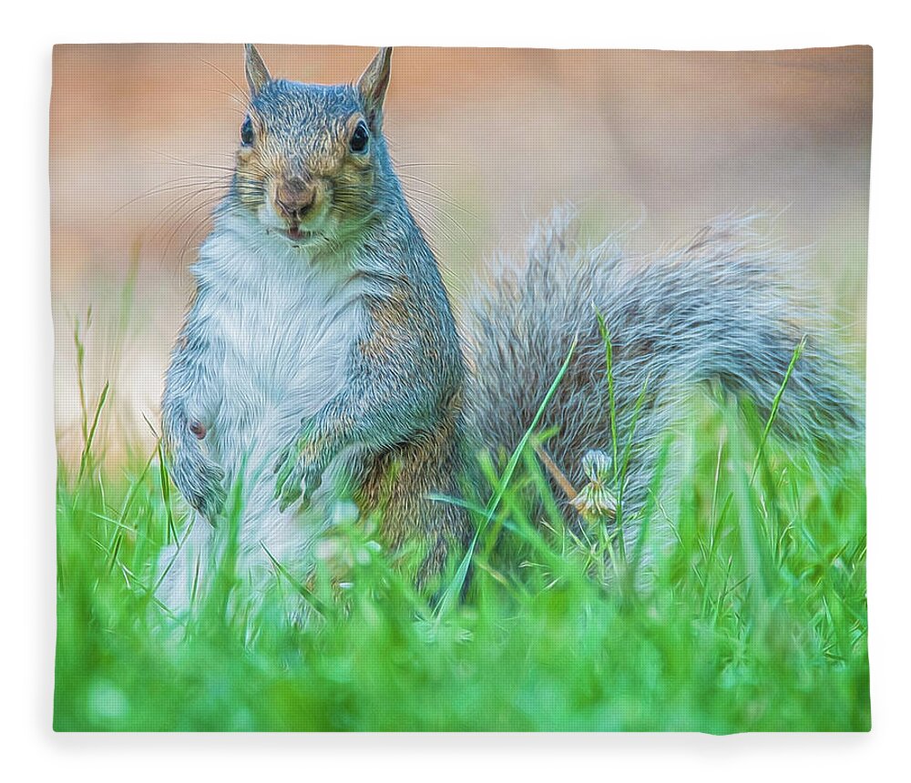 Mammal Fleece Blanket featuring the photograph Momma Squirrel by Cathy Kovarik