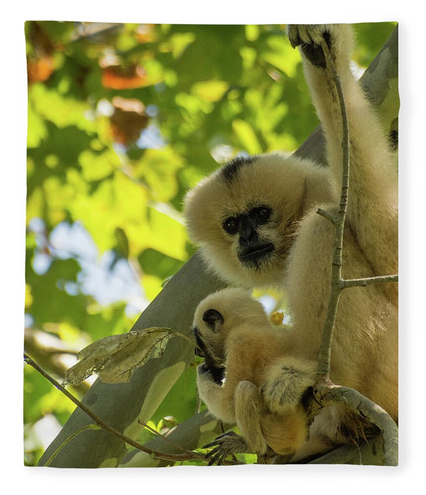 Zoo Fleece Blanket featuring the photograph Mommy Gibbon by John Benedict
