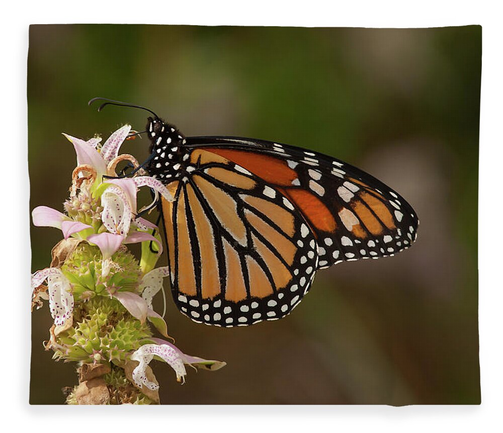 Butterfly Fleece Blanket featuring the photograph Monarch on Spotted Beebalm by Paul Rebmann
