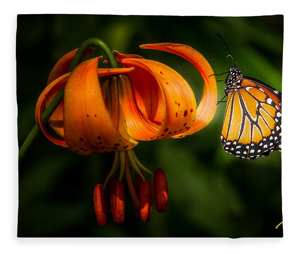 Animals Fleece Blanket featuring the photograph Monarchs and Tiger Lilies by Rikk Flohr