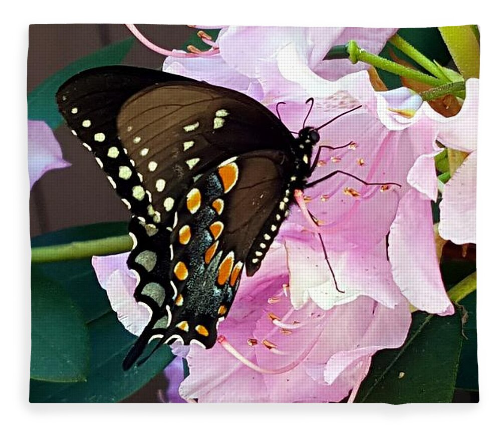 Butterfly Fleece Blanket featuring the photograph Tuesday Two by Dani McEvoy