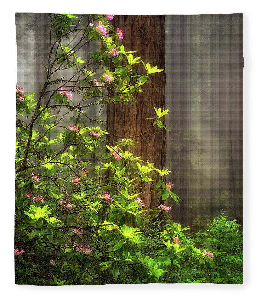 California Fleece Blanket featuring the photograph Moody Forest by Nicki Frates
