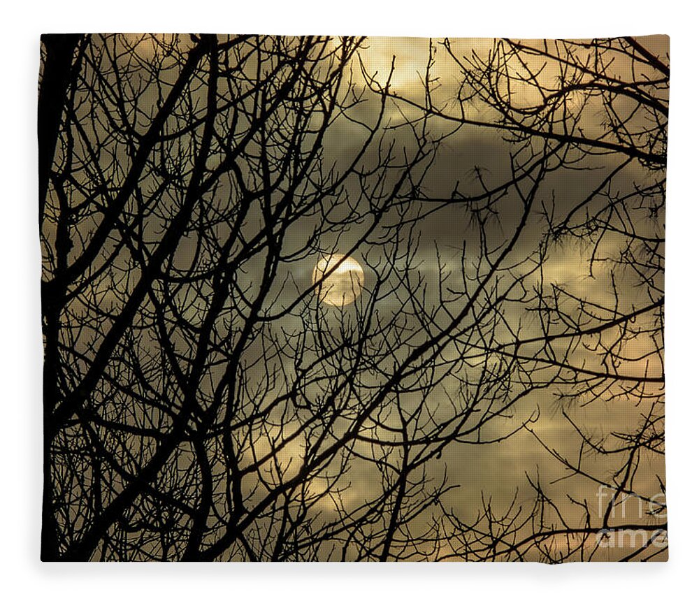 Cheryl Baxter Photography Fleece Blanket featuring the photograph Moody Winter Sky Through Trees by Cheryl Baxter