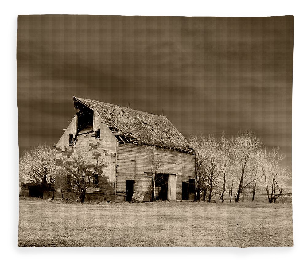 Barn Fleece Blanket featuring the photograph Moon lit Sepia by Julie Hamilton