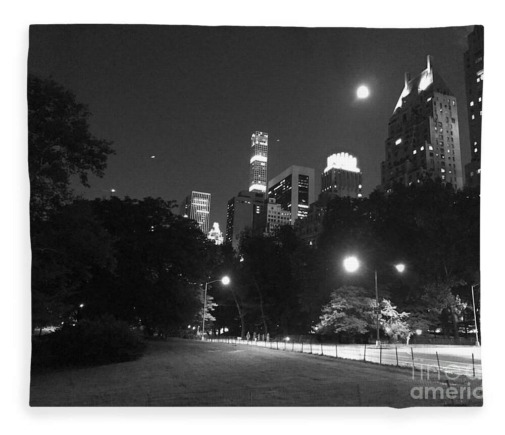 Ny Fleece Blanket featuring the photograph Moonlight by Dennis Richardson