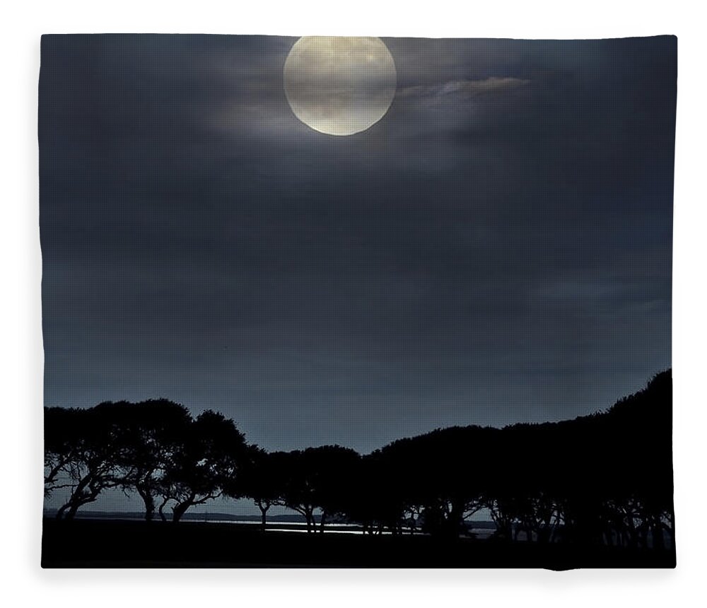 Sea Fleece Blanket featuring the photograph Moonrise over the Marsh. by WAZgriffin Digital