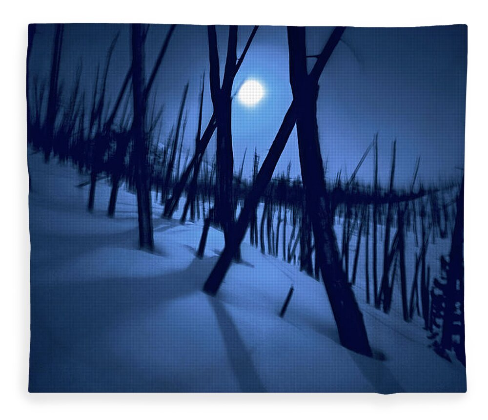 The Walkers Fleece Blanket featuring the photograph Moonshadows by The Walkers