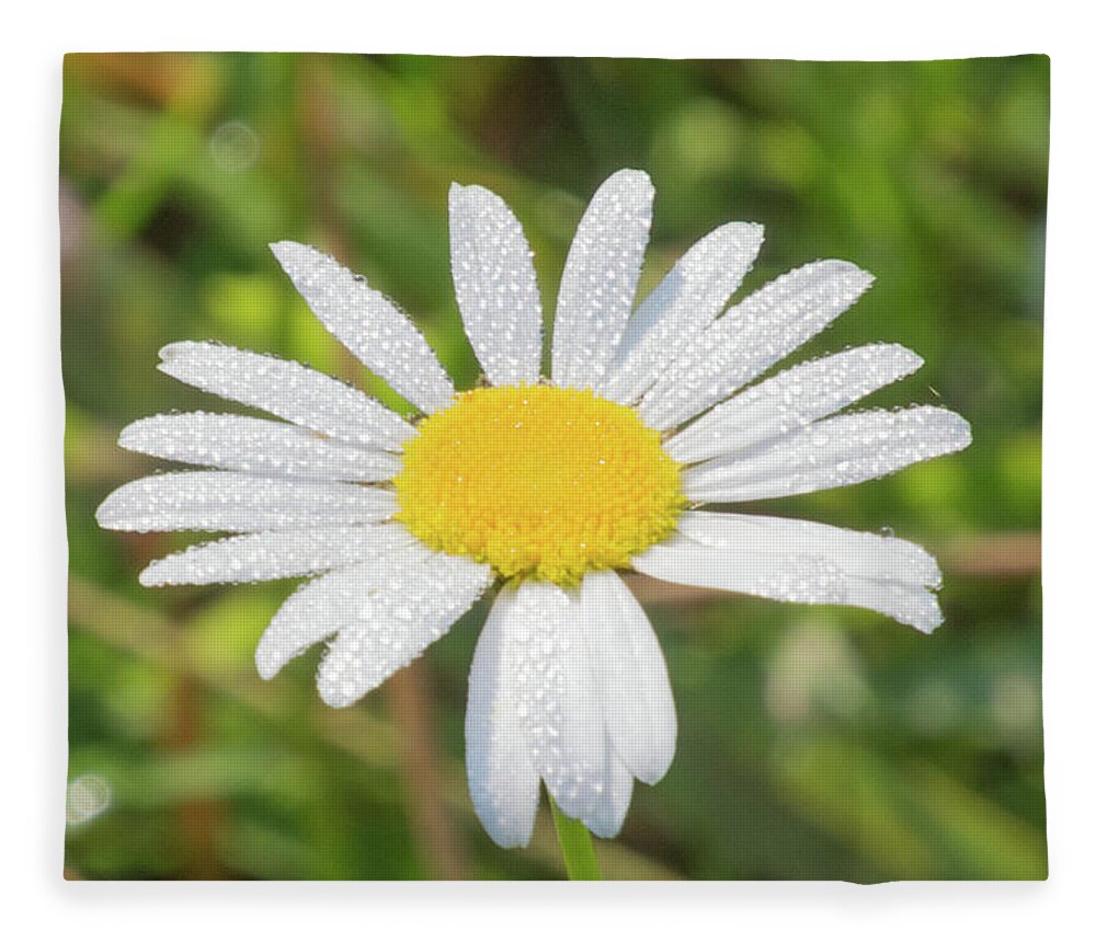 Flower Fleece Blanket featuring the photograph Morning Dew by John Benedict